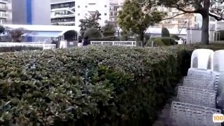 最新成人视频🔞国产精品第42页㊙️免费不卡观看